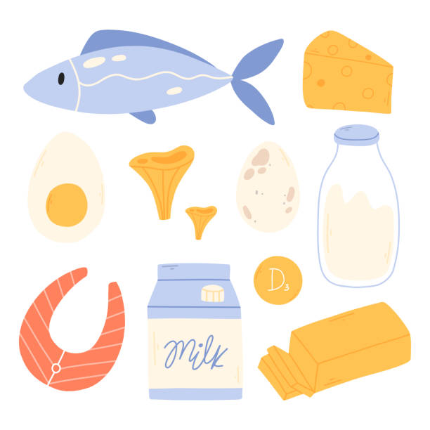 Mobile Set of products containing vitamin D. Foods high in vitamin D. Hand drawn collection of vitamin D. quail egg cartoon stock illustrations
