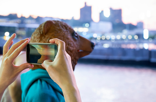 Person in animal mask bear using smartphone to capture city skyline.