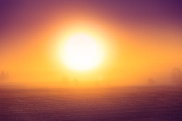 A beautiful foggy morning during early winter. Misty sunrise landscape of Northern Europe.