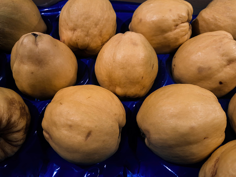 From Orchard to Basket: A Farmer's Quince Harvest. From Farm to Table