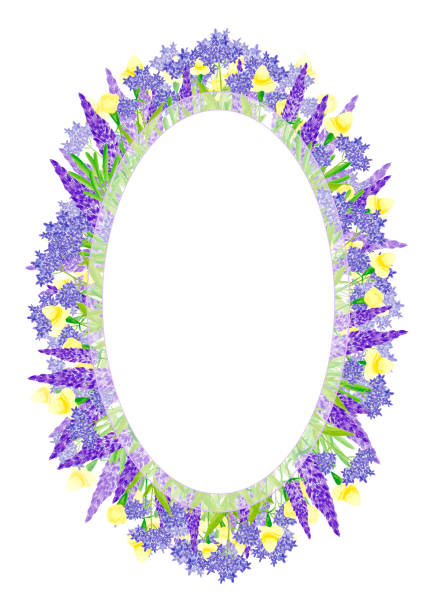 hand drawn watercolor lavender and hortense wildflowers frame border isolated on white background. can be used for cards, invitation, poster and other printed products. - hortense stock illustrations