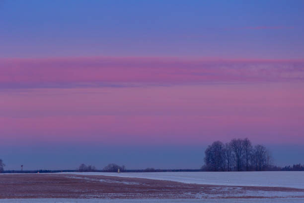 A beautiful tree silhouette against morning sky in early winter. Seasonal landscape of Northern Europe.