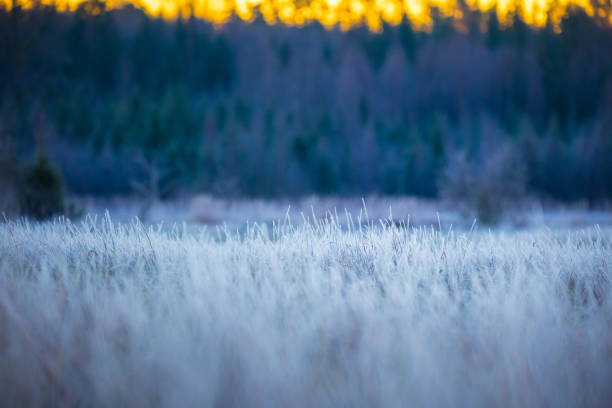 A beautiful winter landscape with little snow. A seasonal scenery of Northern Europe.
