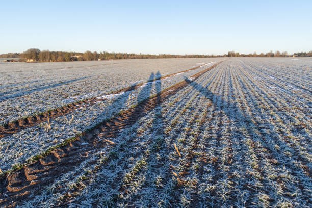 istock A beautiful winter landscape with little snow. 2058141364