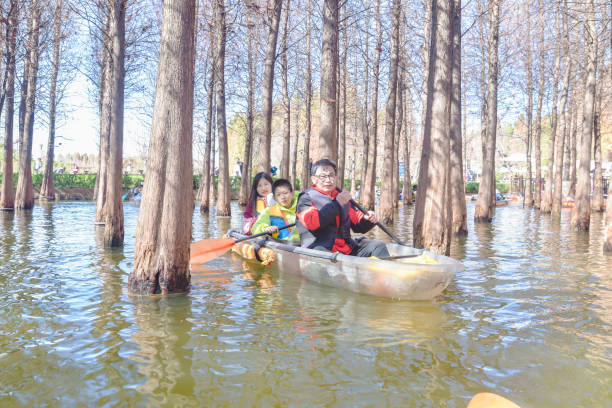 The wetland park has planted a large number of cedar trees, with beautiful scenery that attracts a large number of tourists to row boats and take photos in the water forest.