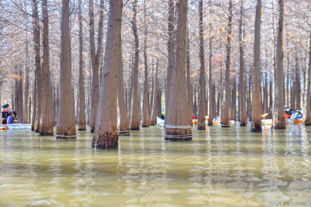 istock Kunming Haihong Wetland Park 2058162389