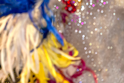 Image with natural plumage and glittery fabric