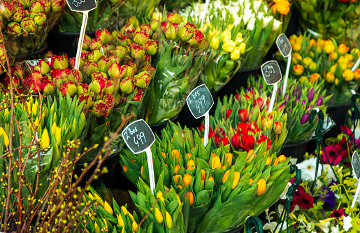 At the flower shop, vibrant blooms beckon as perfect gifts for holidays or romantic dates. Meanwhile, in the bustling street market of the Netherlands, colorful flowers flaunt their beauty, each adorned with price tags, inviting passersby to indulge in their splendor