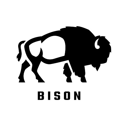 American bison logo. Vector illustration.