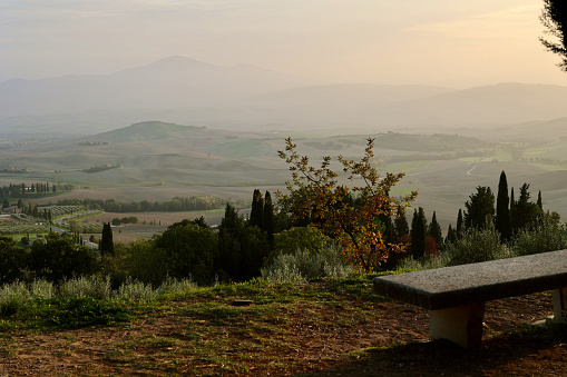Scenic Tuscany landscape with rolling hills and harvest fields in golden evening light, Val d'Orcia, Italy