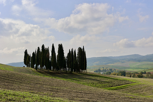 A panoramic view over the hills of Tuscany in Autumn, Italy.