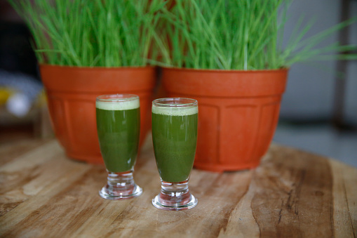 Close up shot Two Shot of Wheat Grass Juice in Dining Table