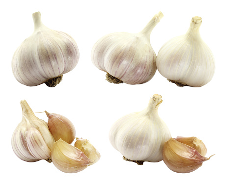 Set of Garlic Heads, isolated on a transparent background