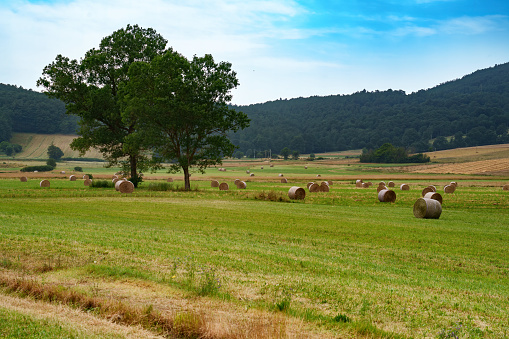 Rural landscape near Colfiorito, Perugia province, Umbria, Italy, at summer.