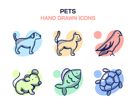 Pets hand drawn sketch icon series