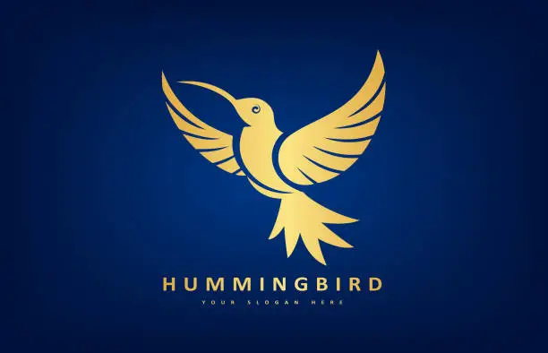 Vector illustration of Hummingbird Vector. Bird design.