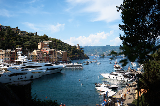 view from above of Portofino harbor boats and houses