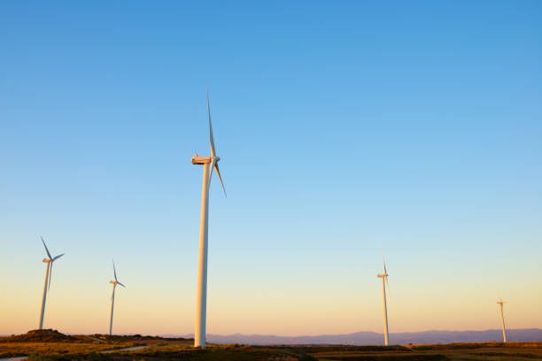 Wind turbine generators for sustainable electrical energy production