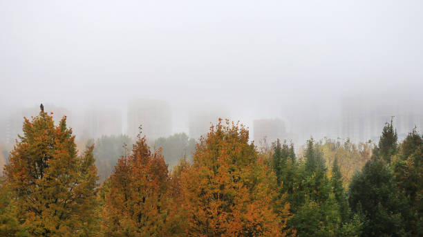 istock Foggy park landscape 2058339553