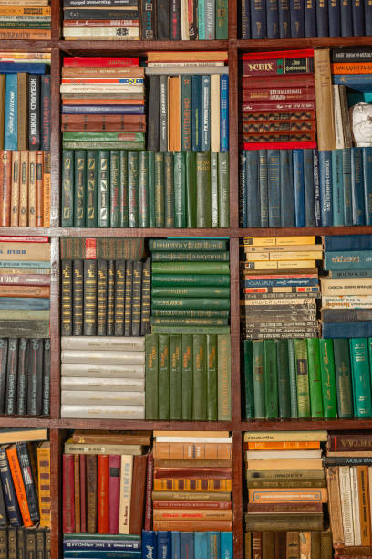 Bookshelf background. Books on a wooden shelfs.