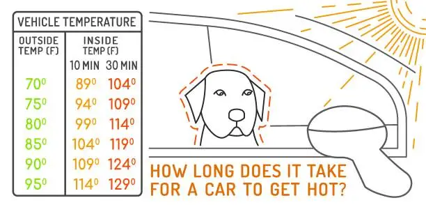 Vector illustration of How long does it take for a car to get hot. Medical infographic.