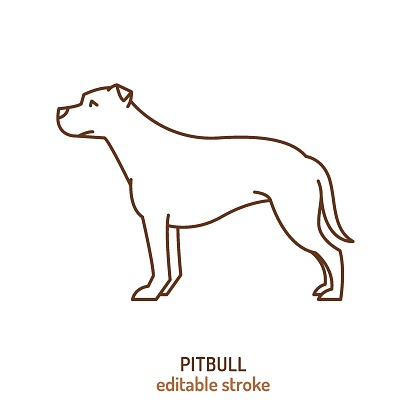 Pitbull silhouette, outline contour sketch. Fighting dog. An excellent companions when raised and trained with respect. Vector isolated illustration for veterinary logo, pet shop advertising design.
