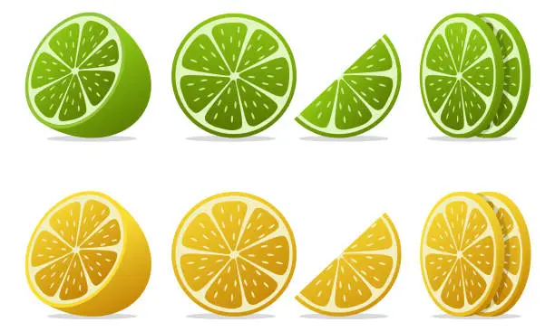 Vector illustration of Lime slice vector set