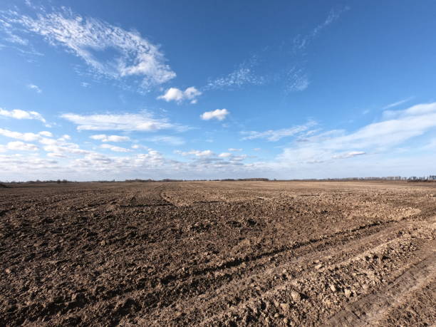 istock Clear blue sky over a plowed field. Landscape. 2058391327
