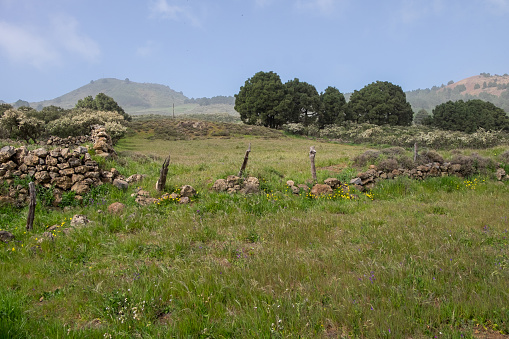 Landscape with meadows in El Hierro, Canary Islands