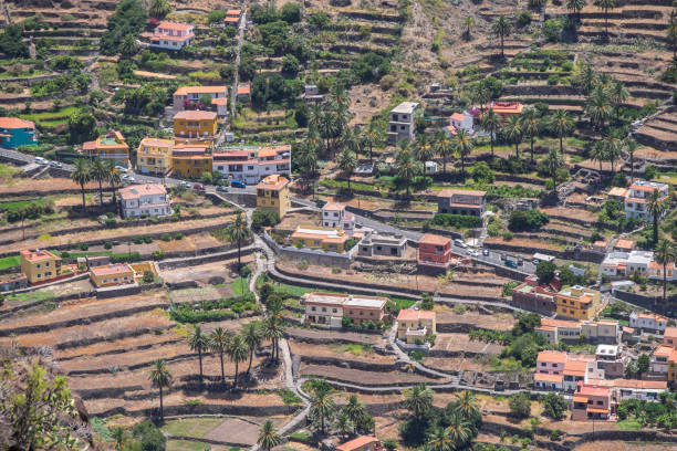 Cultivation terraces in Valle Gran Rey, La Gomera, Canary Islands