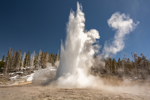 An awe-inspiring image capturing the raw power of nature as a geyser erupts, sending plumes of steam and water soaring into the blue sky above