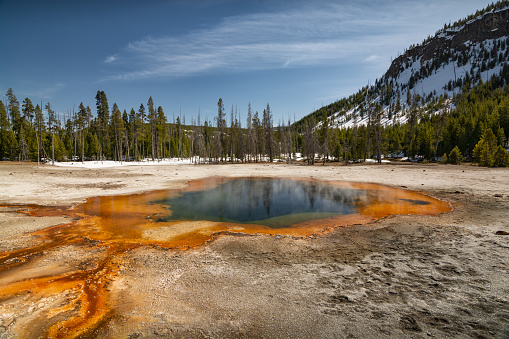 Vibrant hot spring with steaming water, surrounded by colorful mineral deposits in Yellowstone National Park