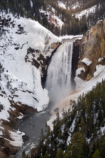 An enchanting image of a powerful waterfall cascading through a snow-covered landscape, cutting through the rugged cliffs surrounded by pine trees