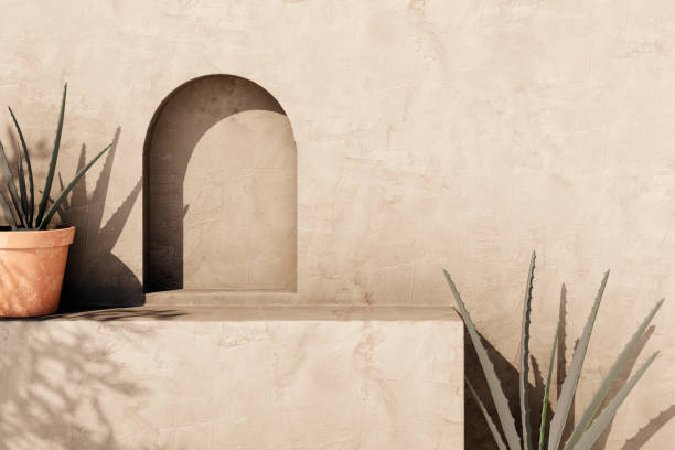 istock Empty texture stucco wall with shade and aloe clay pot. Summer background with traditional home exterior. 2058404450