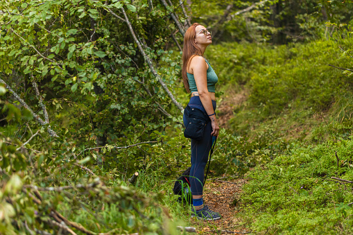 A girl with a backpack is walking through the forest. One tourist in the forest. Healthy lifestyle. Traveling alone. Summer holiday. Beautiful green forest with a path. Concept of Hiking.