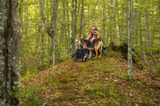 A serene scene in nature, as a woman sits with her two loyal dogs, enjoying a peaceful pause during their walk.