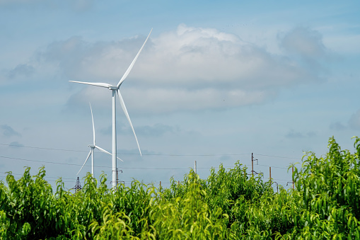 Wind turbines with rotor blades generate clean energy for farms among growing corns. Windmills produce alternative form of energy in country