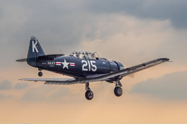 USN F4U Corsair AT6 N7973C Stb r qtr - foto de acervo