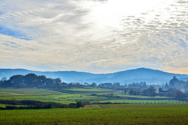 istock Foggy morning in the field 2058464935