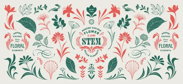 Vector illustration of Floral Design Elements