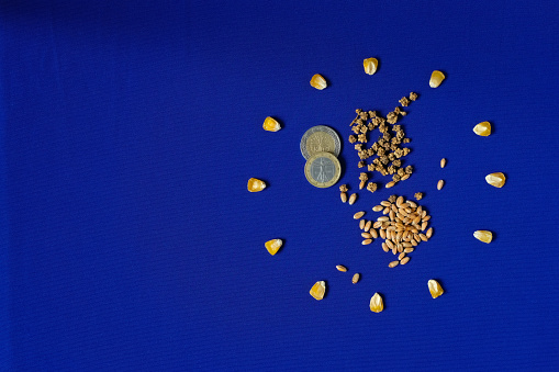 Corn Grains. Wheat. Beet Seeds. EU Currency. European Union Flag. Agricultural Policies.
