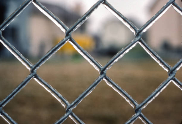 Ice Coated Fence Close-up 1987. Scanned from Kodachrome 64 slide.
