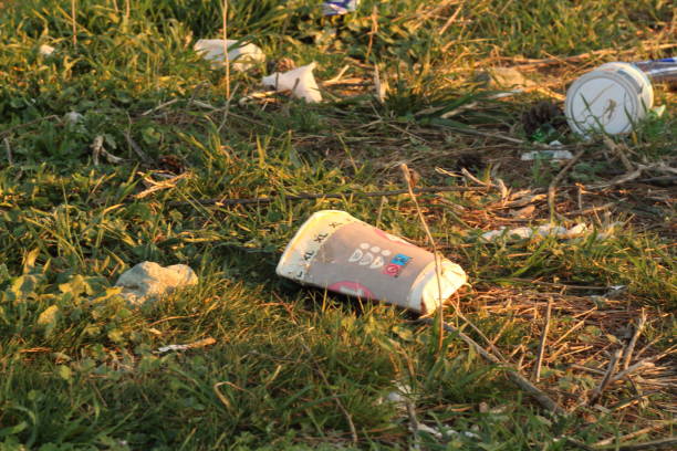 istock Nature's Cry: Witnessing the Aftermath of Destruction 2058539332