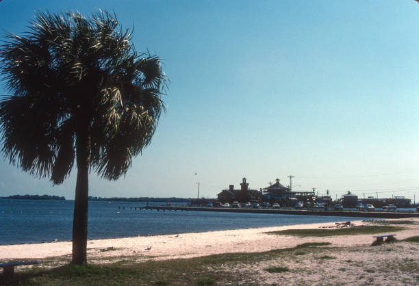 Florida - Beach at Cedar Key 1989. Scanned from Kodachrome 64 slide.
