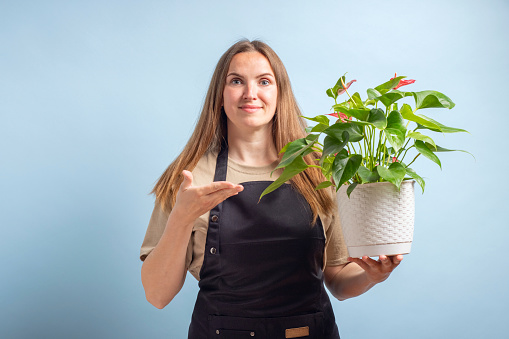 Confident woman holding a potted anthurium plant indoors, promoting urban gardening and home decor.