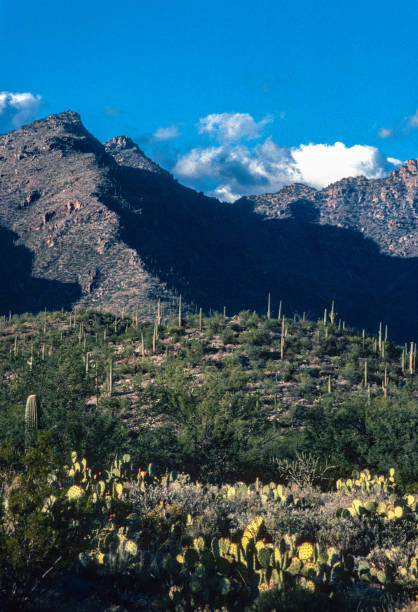 istock Sabino Canyon RA - Layered Landscape 1994 2058552607