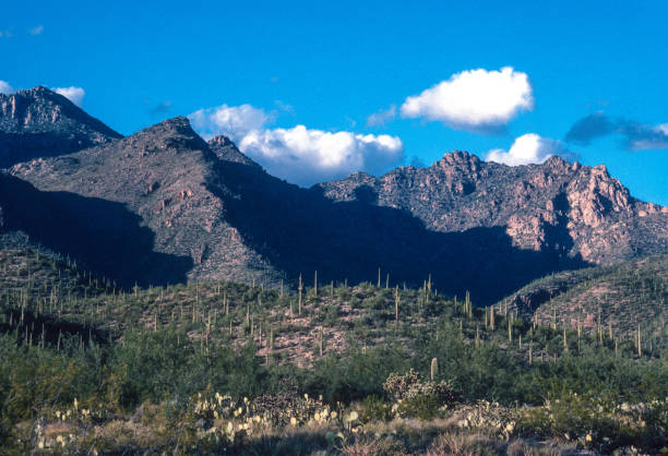 Sabino Canyon RA - Sonoran Landscape 1994