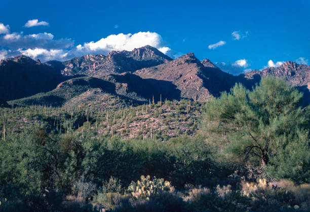 istock Sabino Canyon RA - Mountain View 1994 2058557837