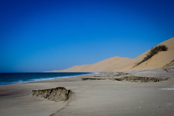 Namib desert dunes meeting the ocean