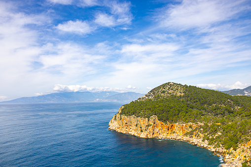 cliffs forest and sea